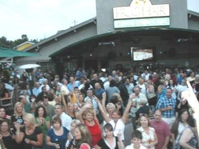 Crowd 6